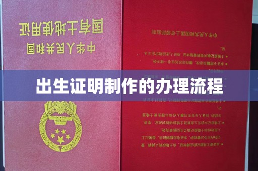 伊犁哈萨克出生证明制作的办理流程